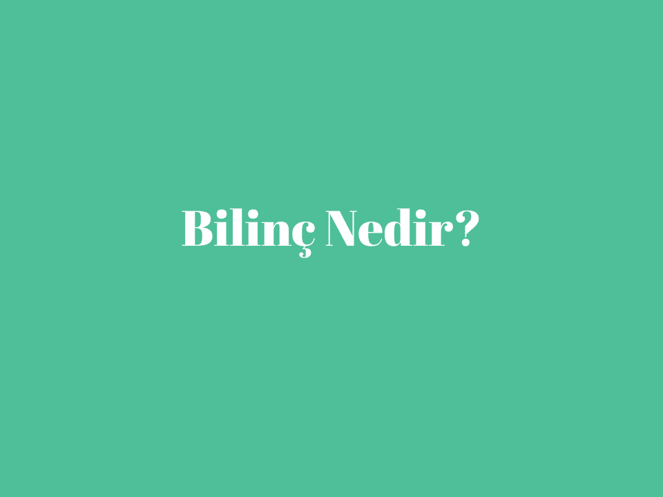 Bilinç Nedir